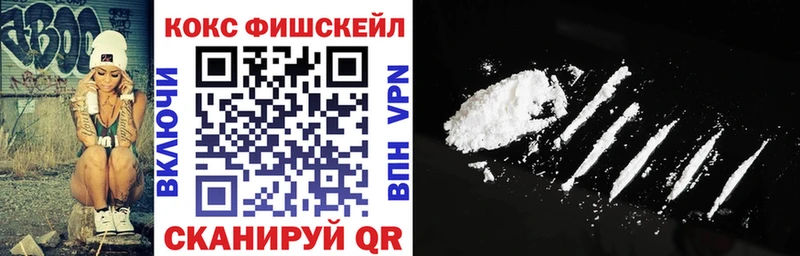 Cocaine FishScale  как найти   Инта 