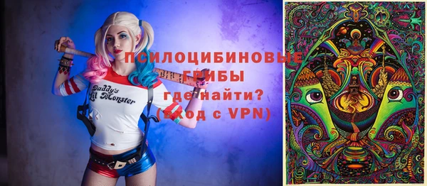 стафф Абинск