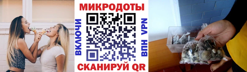 Галлюциногенные грибы мухоморы  цена наркотик  Инта 
